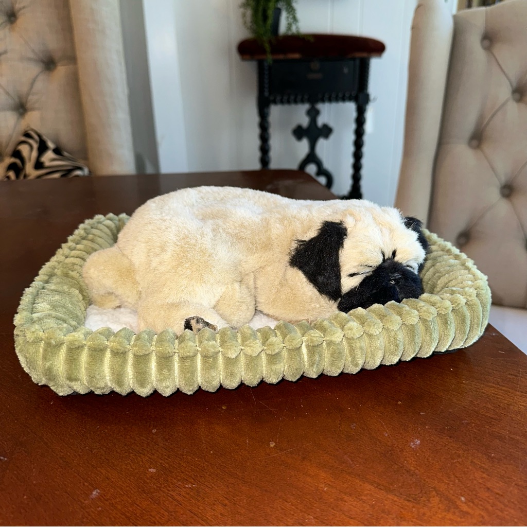 perfect petzzz pug
